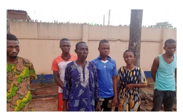 We Kidnap Children From Nigeria To Sell In Benin Republic – Kidnap Suspect Confesses